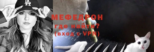гашик Арсеньев