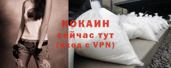 гашик Арсеньев