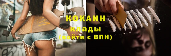гашик Арсеньев