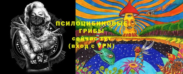 дживик Балахна