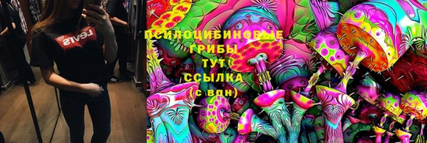 кокс Баксан