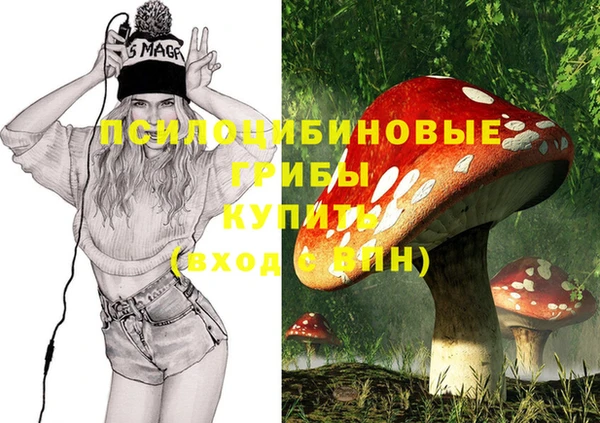 гидропоника Армянск