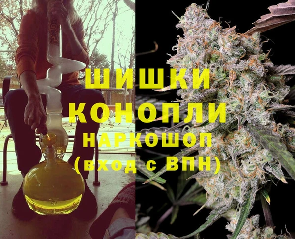 гашик Арсеньев