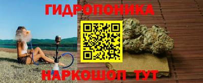 a pvp Гай