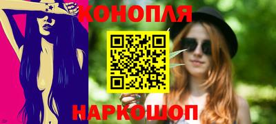 стафф Гатчина