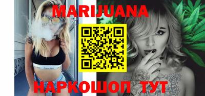 стафф Гатчина