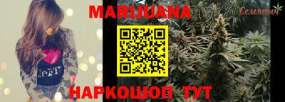 стафф Гатчина