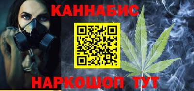 стафф Гатчина