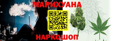 стафф Гатчина