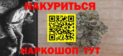 стафф Гатчина