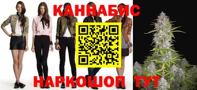 стафф Гатчина