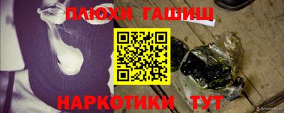 стафф Гатчина