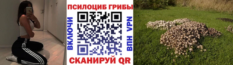 Галлюциногенные грибы мицелий  наркошоп  Новодвинск 