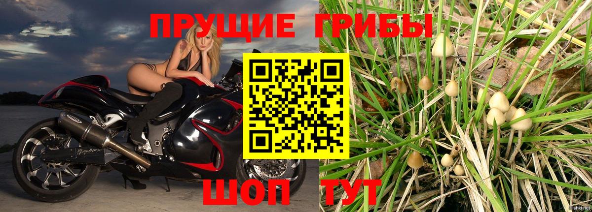 Галлюциногенные грибы Magic Shrooms Новодвинск