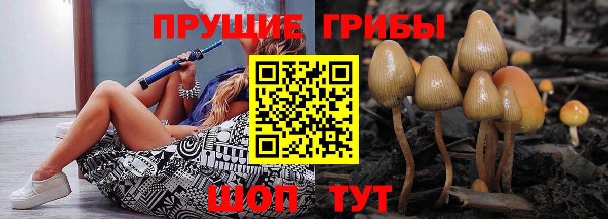 Новодвинск  Галлюциногенные грибы Cubensis  Псилоцибиновые грибы Psilocybe  Вход с VPN 